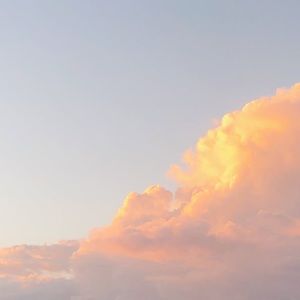 Meet your Posher, Beier